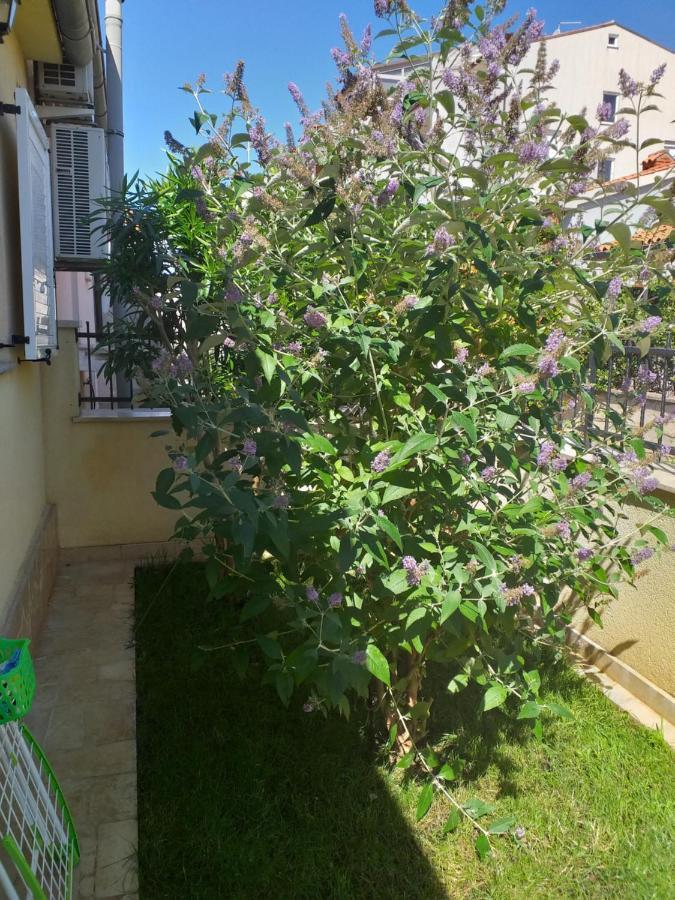 Apartman Vida Пула Екстер'єр фото