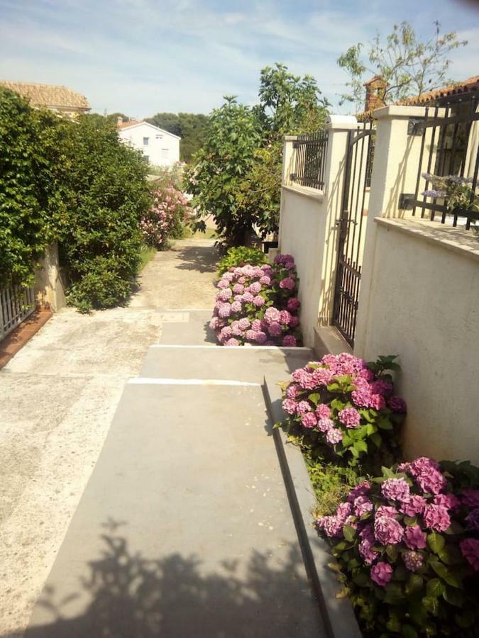 Apartman Vida Пула Екстер'єр фото